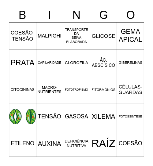FISIOLOGIA VEGETAL Bingo Card