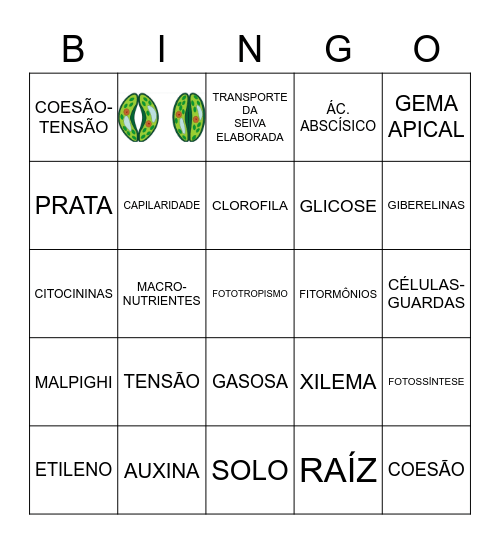FISIOLOGIA VEGETAL Bingo Card