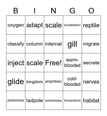 Vocabulary Bingo Card