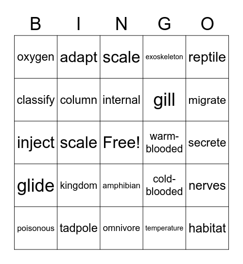 Vocabulary Bingo Card