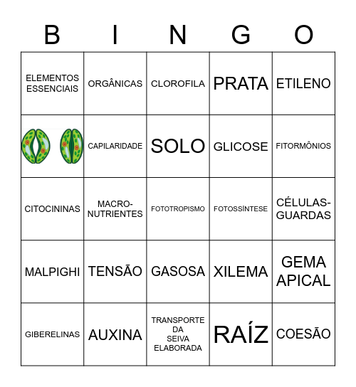FISIOLOGIA VEGETAL Bingo Card