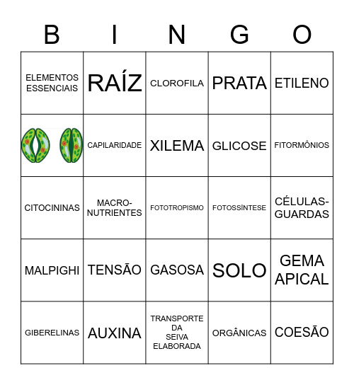 FISIOLOGIA VEGETAL Bingo Card