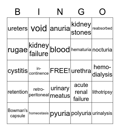 Urinary System Bingo Card