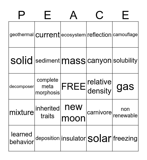 STAAR Review BINGO Card