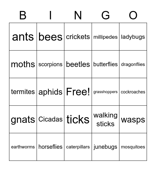 BUG BINGO Card