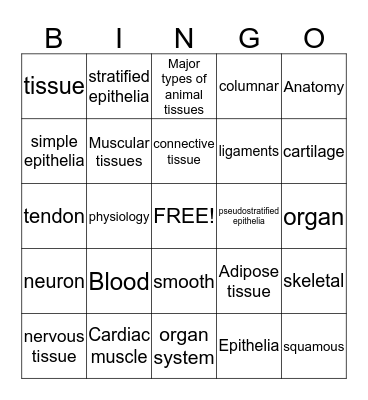 Animal tissues Bingo Card