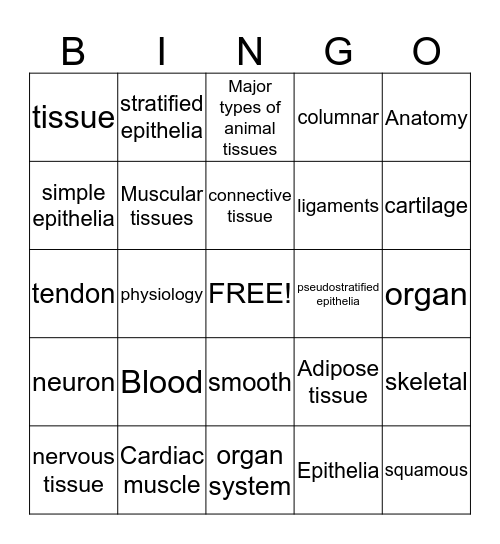 Animal tissues Bingo Card