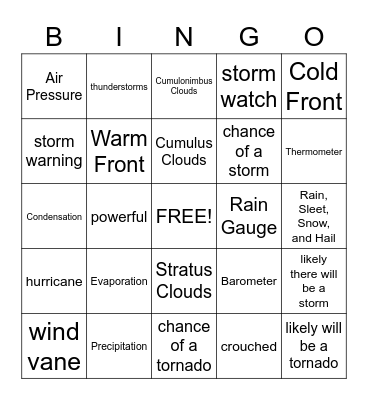 4th grade LR The Storm Bingo Card
