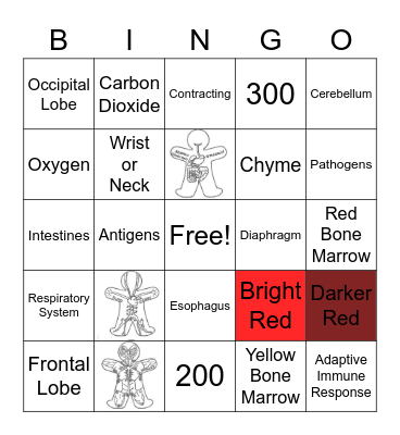 Doctor! Doctor! Bingo Card