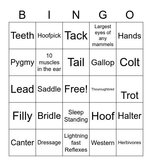 UnHorse Lover Bingo Card