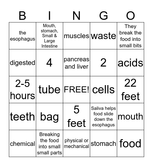 Digestive System Bingo Card