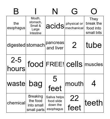 Digestive System  Bingo Card