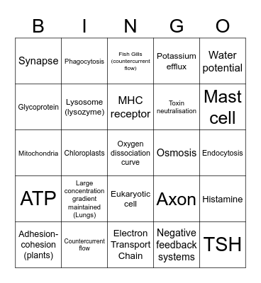 11 Biology (ALL UNITS) Bingo Card