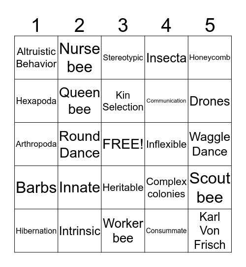 Insect Behavior Bingo Card