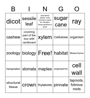 Test 1 Review Bingo Card