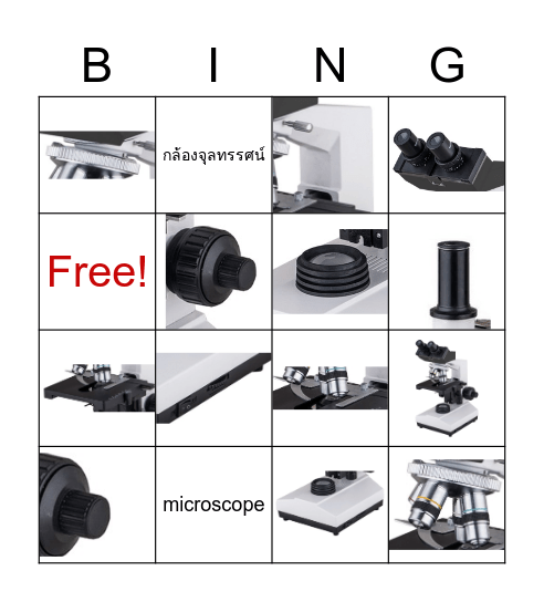 Microscope Bingo Card