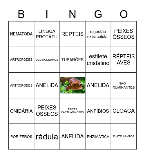 BINGO DA DIGESTÃO Bingo Card