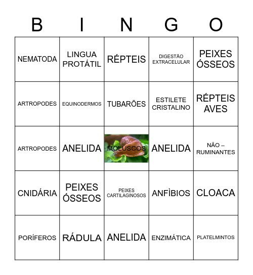 BINGO DA DIGESTÃO Bingo Card