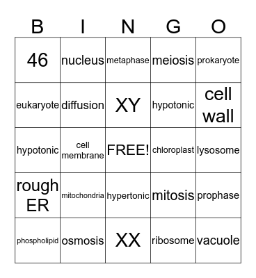 cells, cells, cells Bingo Card
