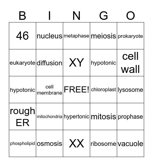 cells, cells, cells Bingo Card