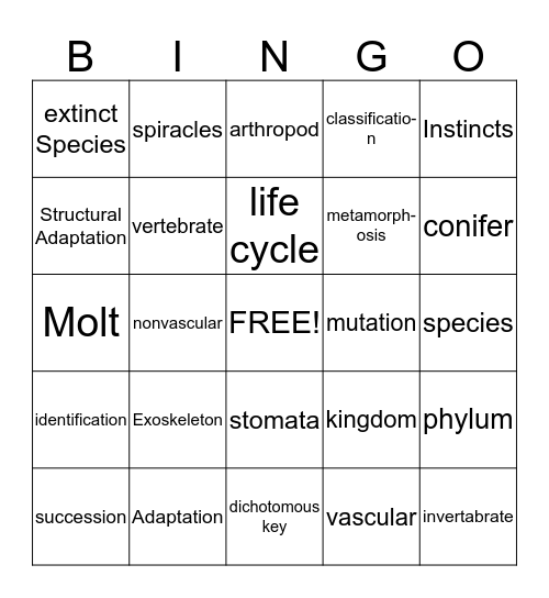 Chapter 4 Review Bingo Card