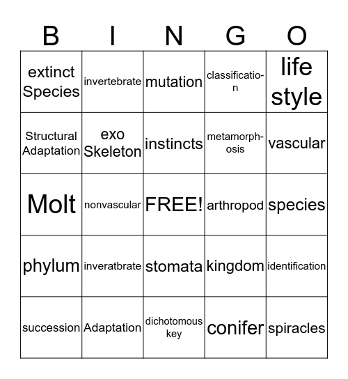 Chapter 4 Review Bingo Card