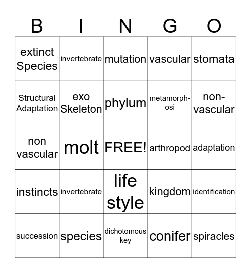 Chapter 4 Review Bingo Card