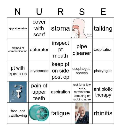 MS Respiratory CH 13 Bingo Card