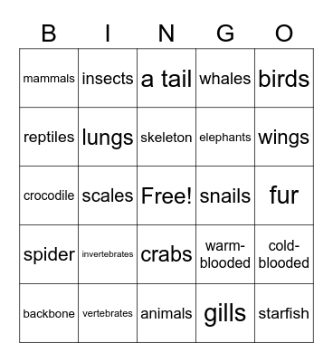 Classifying Animals Bingo Card