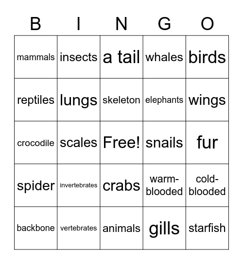 Classifying Animals Bingo Card