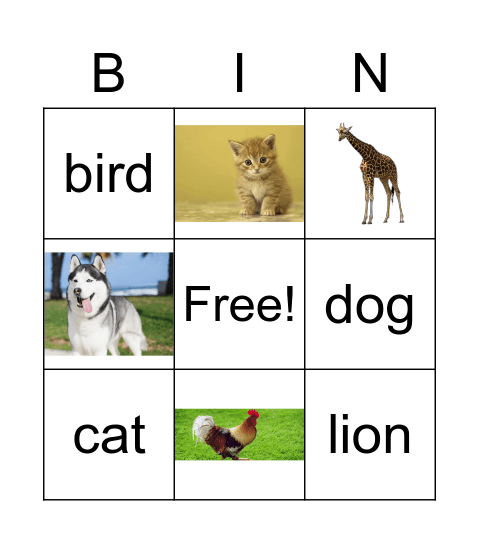 Animai word Bingo Card