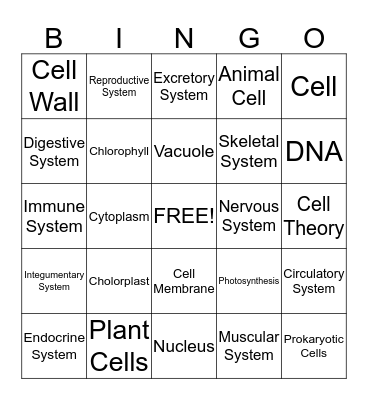 Human Body and Cells Bingo Card