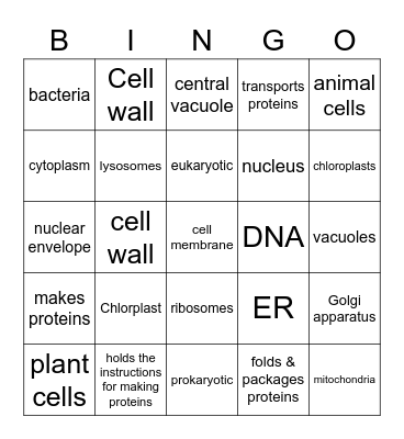 Cell Structures Bingo Card