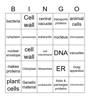 Cell Structures Bingo Card