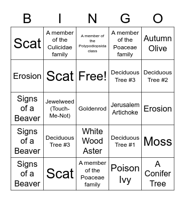 Souhegan Forest Scavenger Hunt Bingo Card
