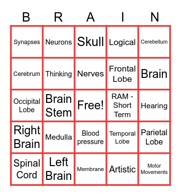 Brain Bingo Card