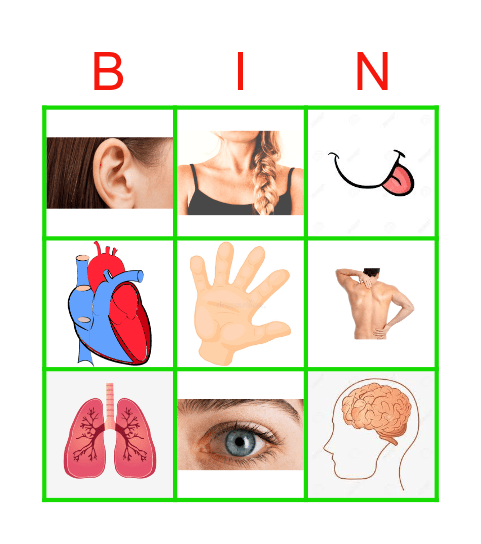 Het lichaam Bingo Card