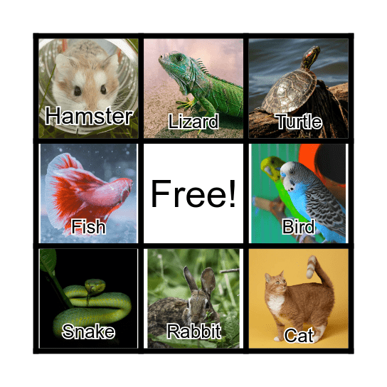 PETS Bingo Card