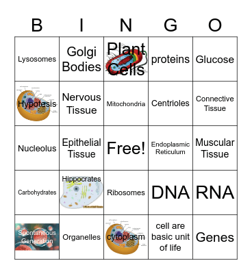Lesson 1 Part 2 Bingo Card