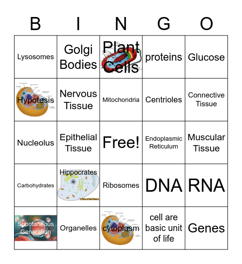 Lesson 1 Part 2 Bingo Card