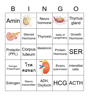 ฮอร์โมนและต่อมไร้ท่อ Bingo Card