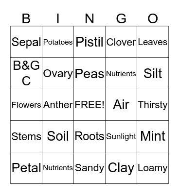 Jr. Master Gardener Bingo Card