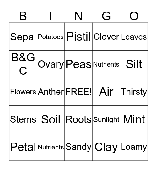 Jr. Master Gardener Bingo Card