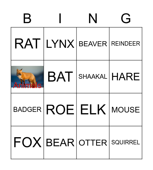 Animal bingo Card