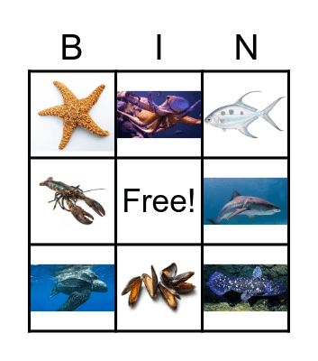 Ocean Animals Bingo Card