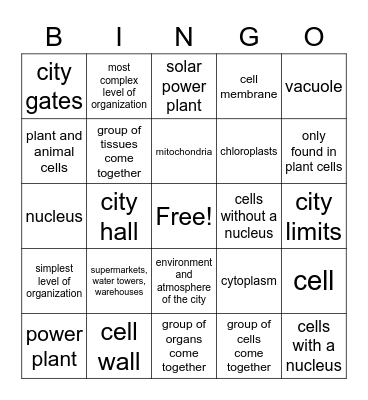 Cells, Cell City, and Levels of Organization Bingo Card