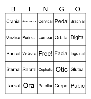 Body Regions BINGO Card