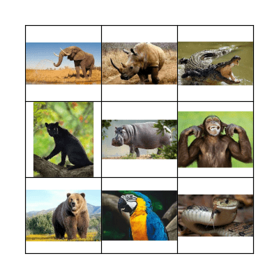 LAND ANIMALS Bingo Card