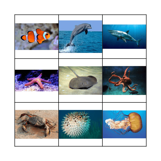 SEA ANIMALS Bingo Card