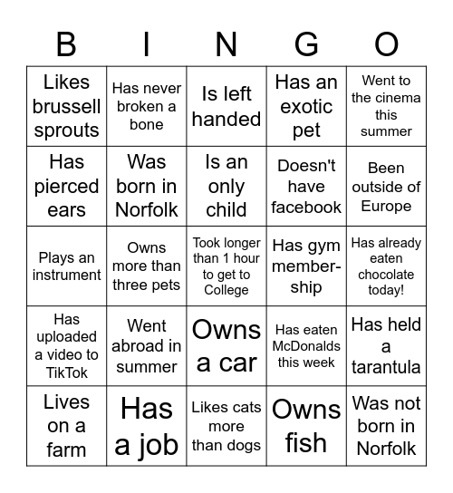 Icebreaker Game Bingo Card